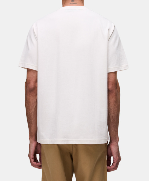 T-shirt Napapijri S-Box uomo cotone box logo