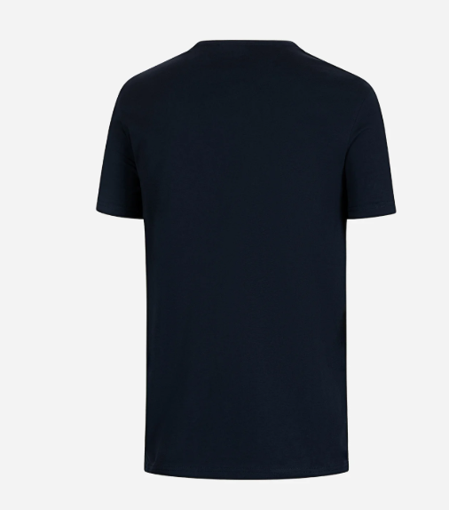 T-shirt Napapijri Salis uomo cotone girocollo