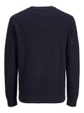 Maglia Jack & Jones uomo cotone bio AI 2026
